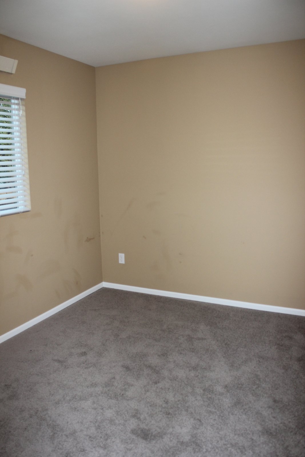 5428 57th Loop SE property image